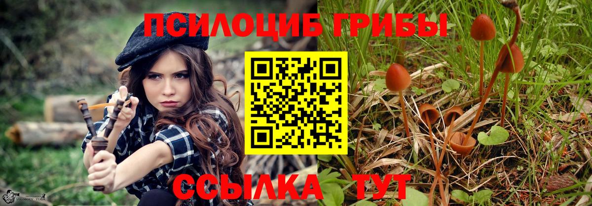 Псилоцибиновые грибы MAGIC MUSHROOMS Арсеньев