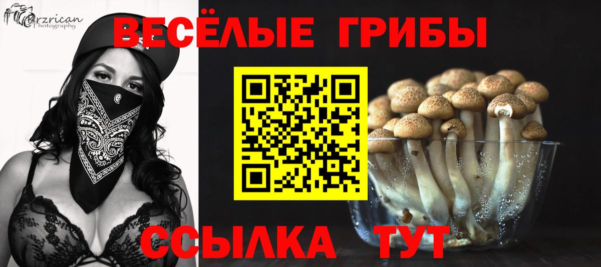 Арсеньев  Галлюциногенные грибы Psilocybine cubensis  Вход с VPN  Псилоцибиновые грибы Magic Shrooms 